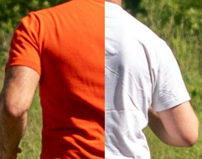 Long and short sleeved T-Shirts